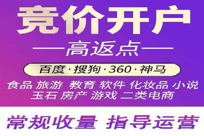 百度竞价排名实战：某行业领先企业的成功之路